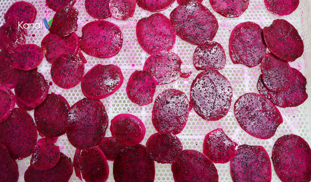 Kumluca'daki Kurutma Tesisi Ejder Meyvesini İşlemeye Başladı