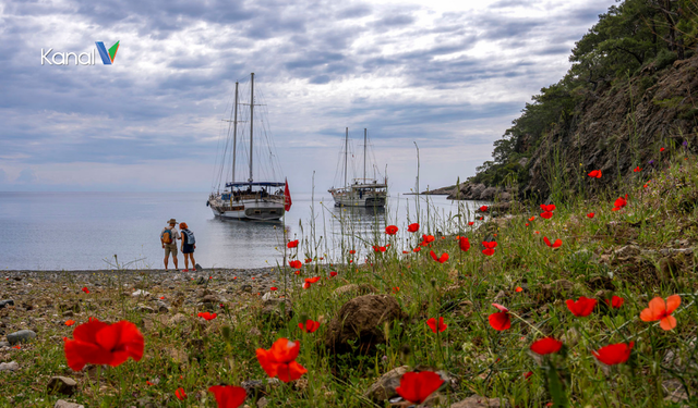 Time Out: Dünyanın En Güzel Yürüyüşü Likya Yolu