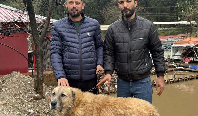 Paşa'yı Canı Pahasına Korudu, Akıntıya Kapılmaktan Son Anda Kurtardı