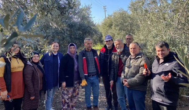 Büyükşehir’den Hortum ve Fırtınadan Zarar Gören Üreticiye Sera Naylonu Desteği