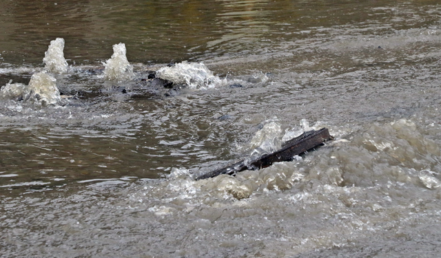Çevreci Komşu Kart Projesi 51 Milyon Kişiye Nefes Oldu