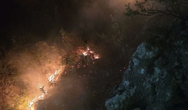 Orman Yangını Büyümeden Söndürüldü