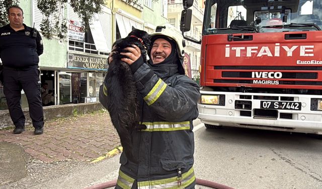 Kediyi Kalp Masajıyla Kurtaran İtfaiyecinin Mutluluğu