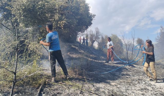 Antalya'da Ormanlık Alanda Yangın