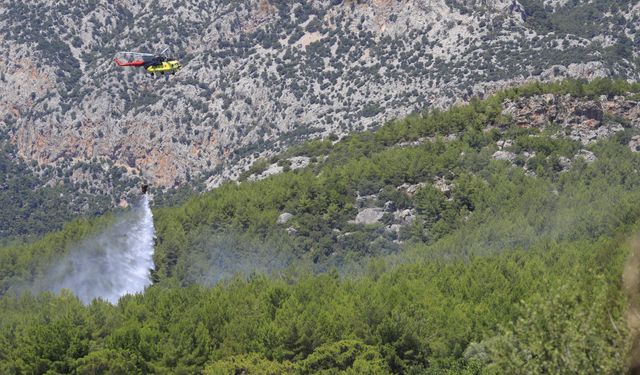 Orman yangını büyümeden kontrol altına alındı