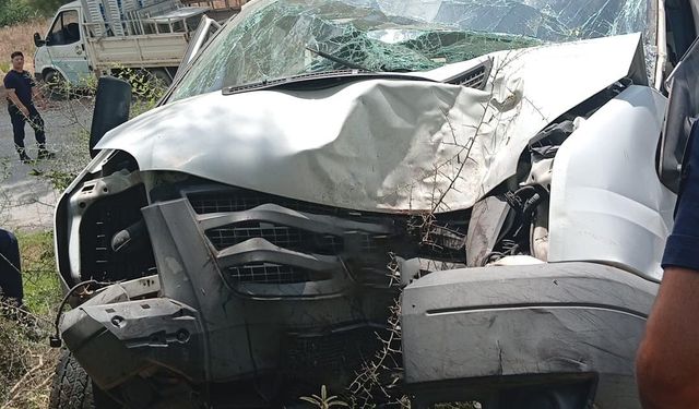 Alanya'da kamyonet ağaca çarptı: 1 ölü, 1 ağır yaralı