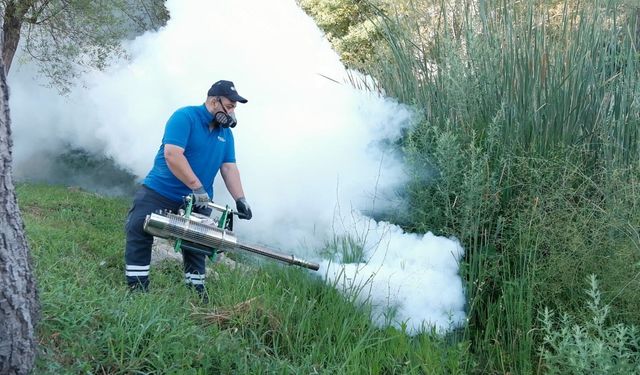 Boğaçayı'nda vektörle mücadele çalışması