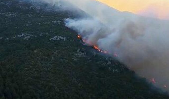 Antalya Kaş’ta orman yangını
