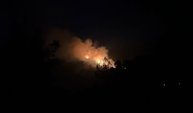 Kaş’taki orman yangınına müdahale sürüyor