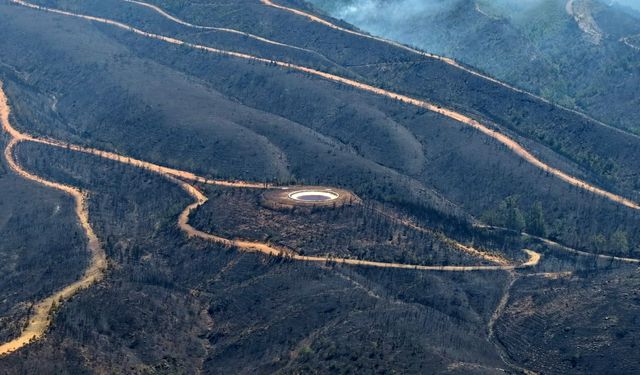 Alanya'daki orman yangınında 305 dekar alan etkilendi