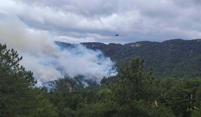 Manavgat'ta 22 saatlik yangın kontrol altına alındı