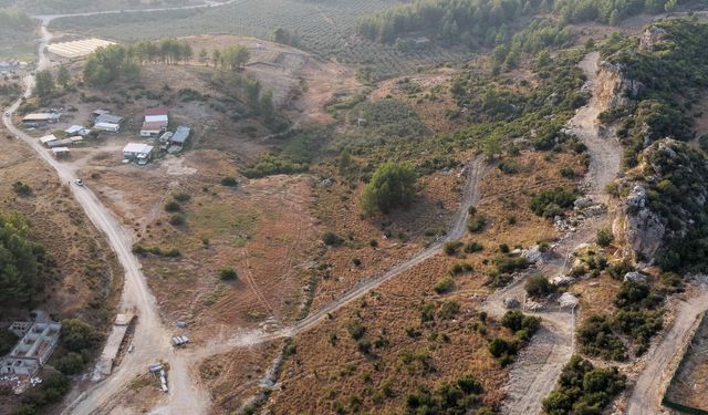 Manavgat’ta sokak hayvanlarına 75 dönümlük yaşam alanı