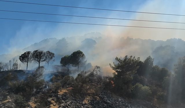Antalya'da iki ilçede çıkan orman yangınına müdahale ediliyor