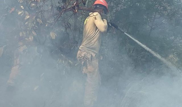 Kaş'ta çıkan orman yangını 2,5 saatte kontrol altına alındı