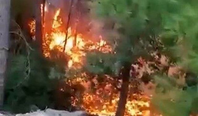 Alanya'da yıldırımın düşmesiyle yangın çıktı