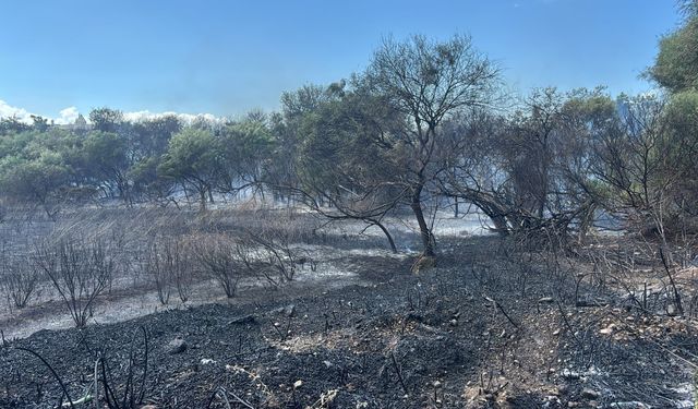 Manavgat'ta boğaz mendirek yolunda korkutan yangın