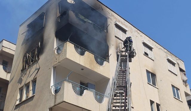 Yangından korkan hamile kediyi itfaiye kurtardı