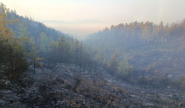 Kumluca'daki orman yangınının enerjisi düşürüldü
