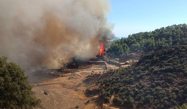 Antalya Kumluca'da orman yangını
