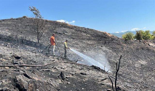 Alanya'da yangın: 10 dönüm alan ve sera zarar gördü