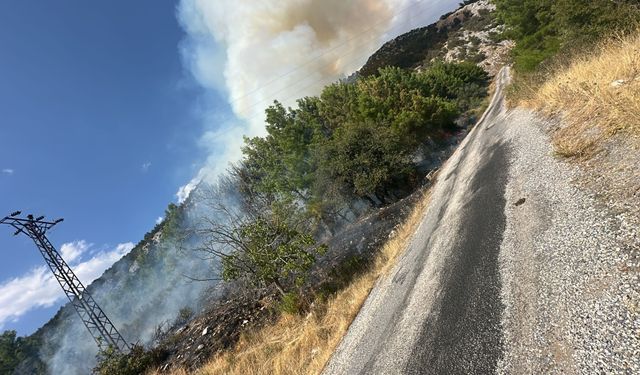 Akseki'de orman yangını çıktı