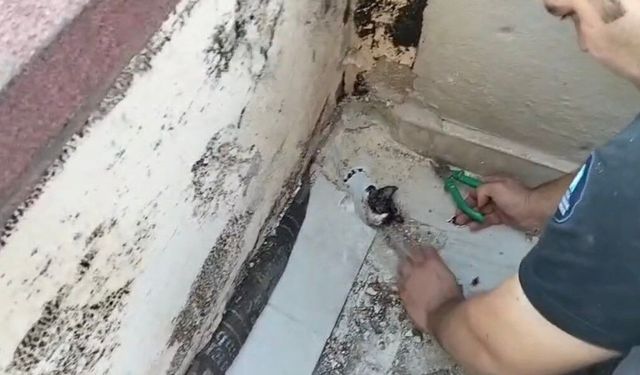 Gidere sıkışan yavru kediyi itfaiyeciler kurtardı