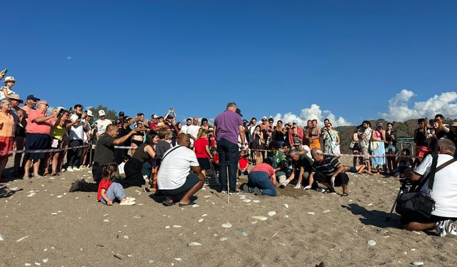 Kemer'de son caretta caretta yuvası açıldı