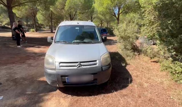 20 yıl hapis cezasıyla aranan firari ormanlık alanda yakalandı