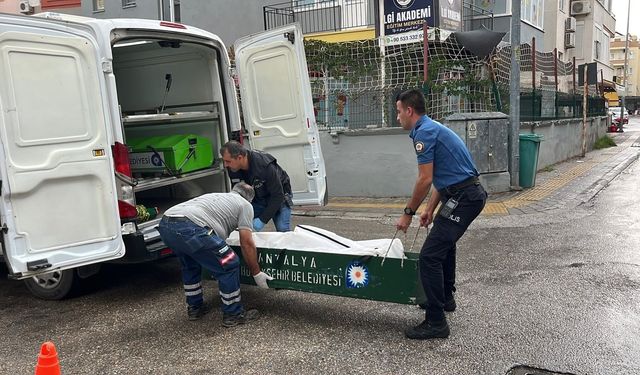Alanya'da pansiyonda kalan yaşlı adam ölü bulundu