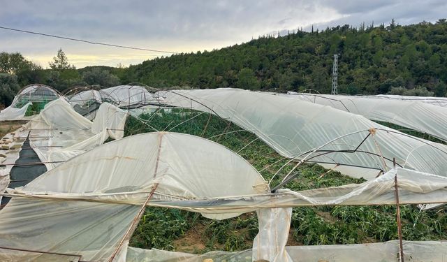 Manavgat’ta hortum seraları yerle bir etti: 15 dönüm zarar gördü