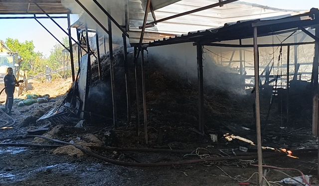 İki yıl arayla aynı ahırda ikinci yangın: Hayvanlar telef oldu