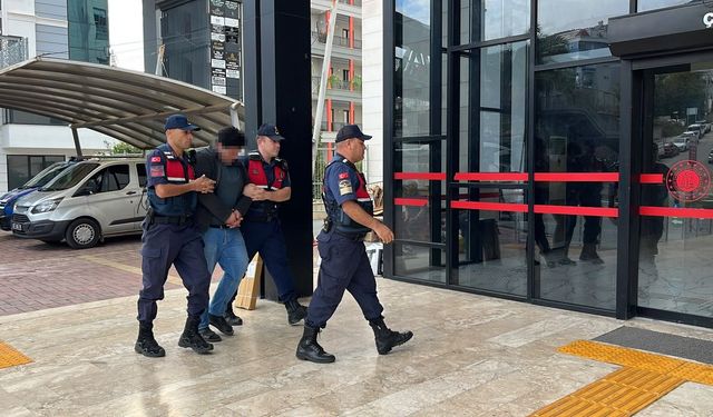 Alanya'da kuşlara vahş*t uygulayan şüpheli tutuklandı