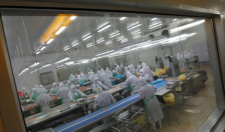 Kuş gribi nedeniyle 72 bin kümes hayvanı itlaf edilecek