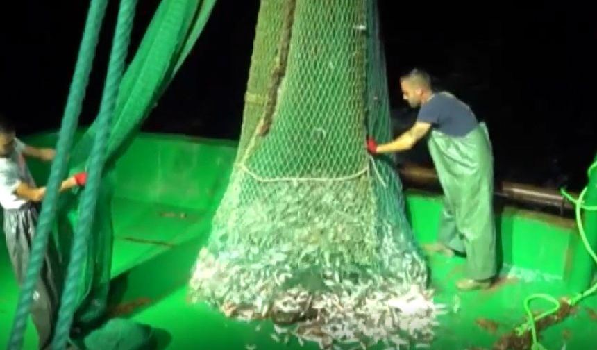 Balıkçıların av yasağı başladı