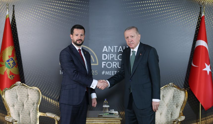 Erdoğan, Milatoviç ile görüştü