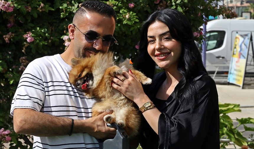 Kaybolan köpek bulundu sahipleri sevince boğuldu