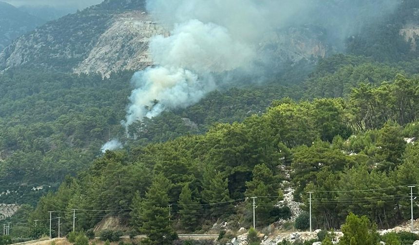 Orman Yangını Büyümeden Söndürüldü