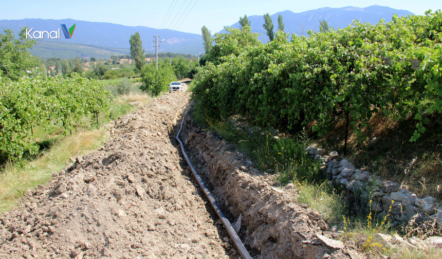 Antalya'da Keneden Bulaşan 3 Hastalık İçin Uzman Uyardı!
