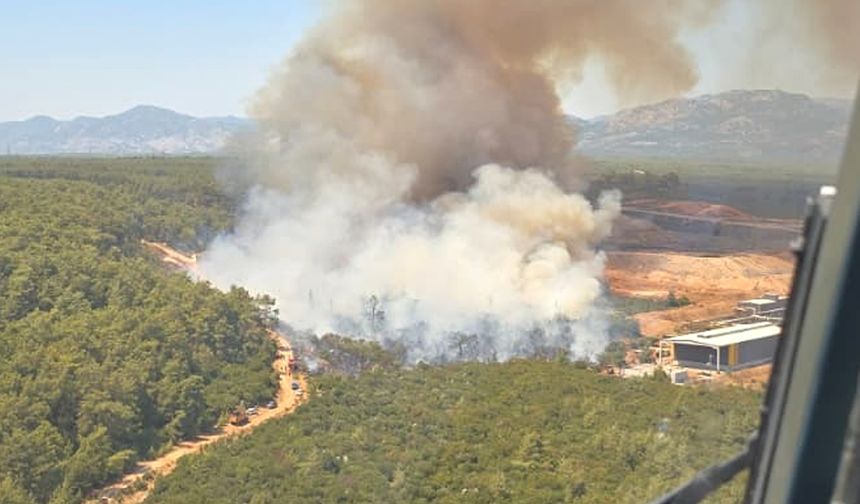 Antalya Kepez'de Orman Yangını Çıktı