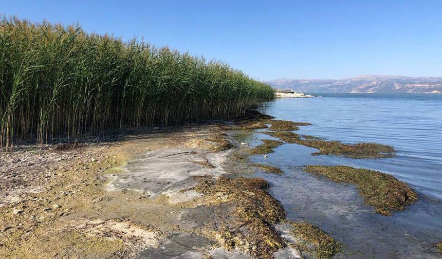 Eğirdir Gölü'nde Ekolojik Yıkım İddiası