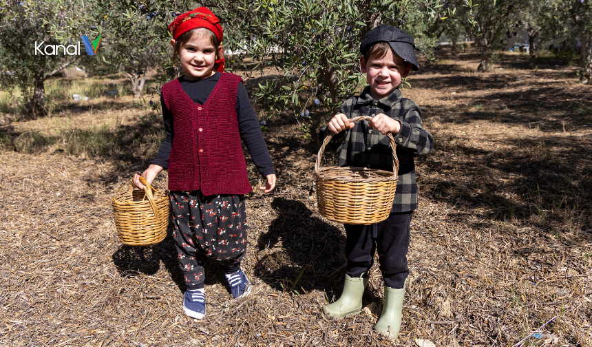 Minikler Manavgat’ta Zeytin Hasadına Katıldı