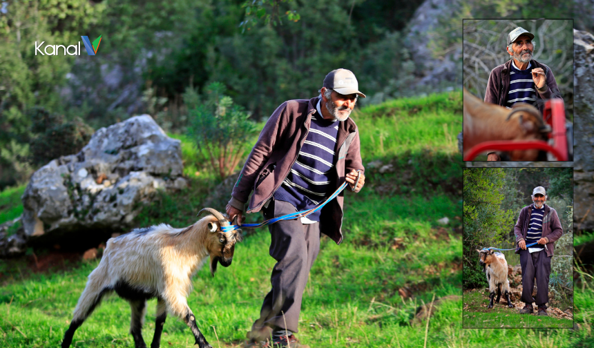 Döşemealtı’nda Uçurumda Mahsur Keçi Kurtarıldı