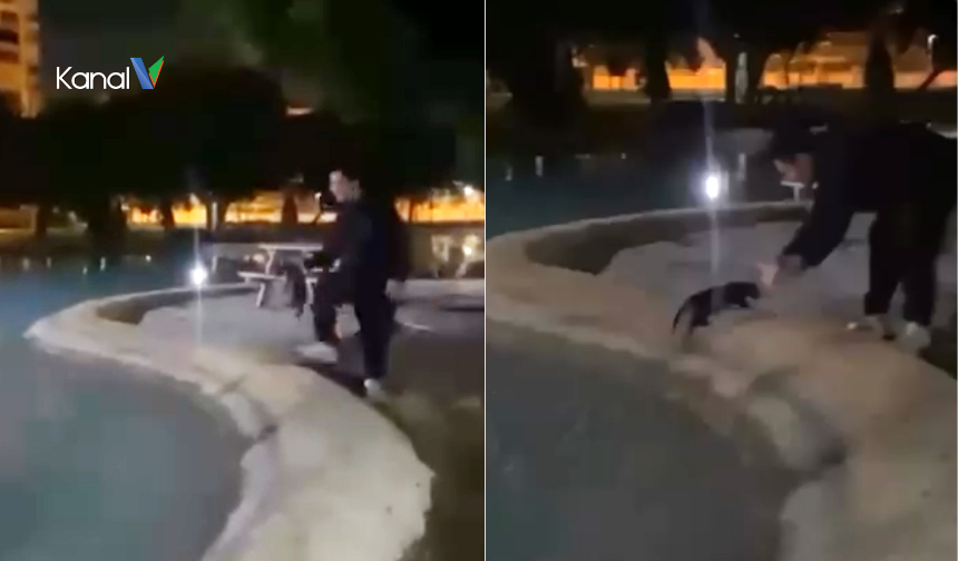 Muratpaşa’da Parkta Kediye Eziyet: İnceleme Başlatıldı