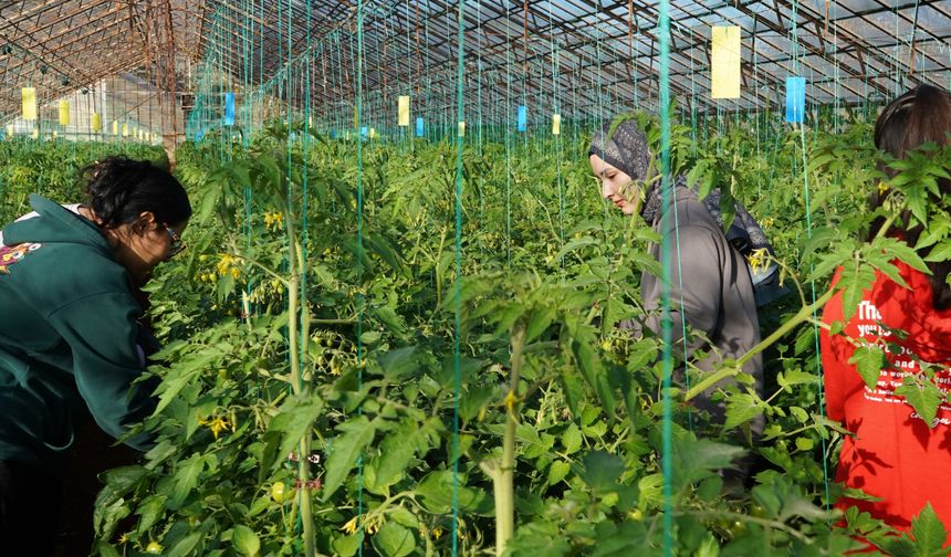 Antalya - Üniversiteden Sofraya