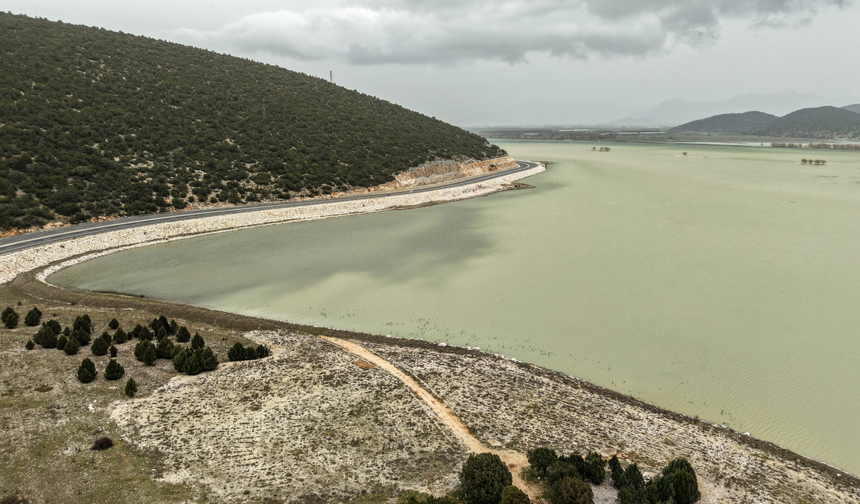 Hayvanların Otladığı Avlan Gölü'nde Su Sevinci