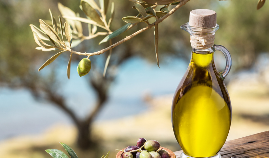 Antalya Zeytinyağı Çalıştayına Ev Sahipliği Yapacak