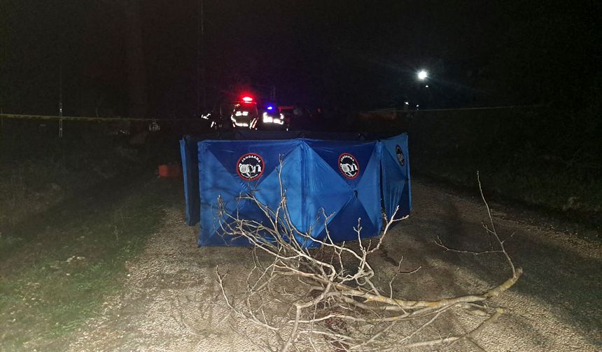 Kamyonet Kasasından Düşen Kadın Hayatını Kaybetti