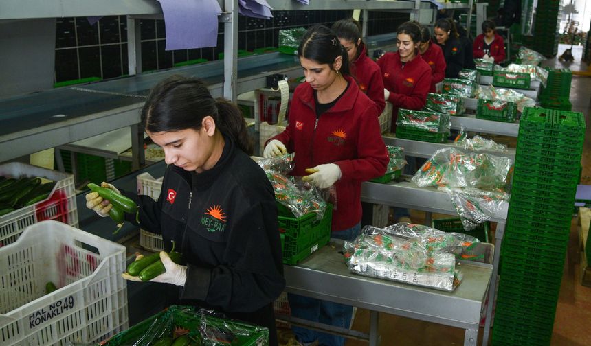 Antalya Hali’nden 64 Ülkeye Sebze İhracatı