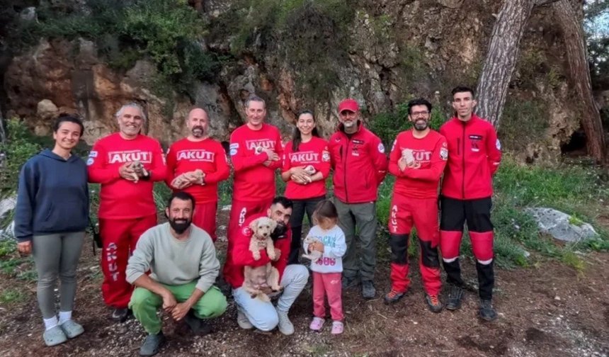 Kaya Yarığına Düşen 6 Yavru Köpeğe Film Gibi Kurtarma