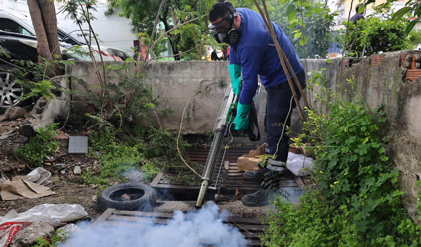 Büyükşehir'den Sinek Üreme Alanlarında Yoğun Çalışma